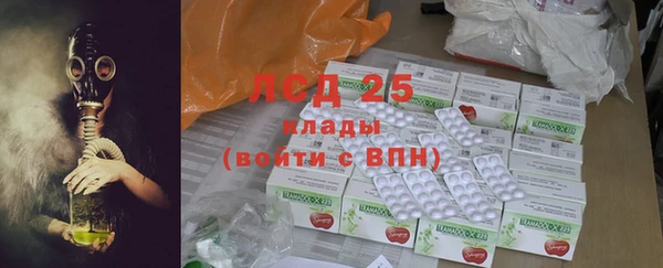 хмурый Липки
